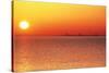 Usa,Chicago,Lake Michigan,Orange Sunset,City Skyline in Distance-Frank Cezus-Stretched Canvas