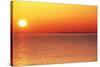 Usa,Chicago,Lake Michigan,Orange Sunset,City Skyline in Distance-Frank Cezus-Stretched Canvas