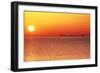 Usa,Chicago,Lake Michigan,Orange Sunset,City Skyline in Distance-Frank Cezus-Framed Photographic Print