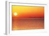 Usa,Chicago,Lake Michigan,Orange Sunset,City Skyline in Distance-Frank Cezus-Framed Photographic Print