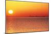 Usa,Chicago,Lake Michigan,Orange Sunset,City Skyline in Distance-Frank Cezus-Mounted Photographic Print