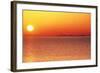 Usa,Chicago,Lake Michigan,Orange Sunset,City Skyline in Distance-Frank Cezus-Framed Photographic Print