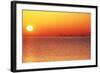 Usa,Chicago,Lake Michigan,Orange Sunset,City Skyline in Distance-Frank Cezus-Framed Photographic Print