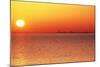 Usa,Chicago,Lake Michigan,Orange Sunset,City Skyline in Distance-Frank Cezus-Mounted Photographic Print