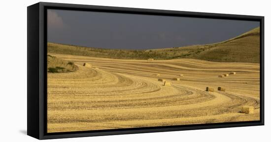 USA, Colfax, WA, Palouse region. Panoramic of bales of wheat straw in a field near Colfax, WA.-Deborah Winchester-Framed Stretched Canvas