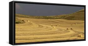 USA, Colfax, WA, Palouse region. Panoramic of bales of wheat straw in a field near Colfax, WA.-Deborah Winchester-Framed Stretched Canvas