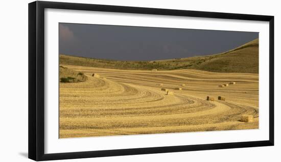 USA, Colfax, WA, Palouse region. Panoramic of bales of wheat straw in a field near Colfax, WA.-Deborah Winchester-Framed Photographic Print