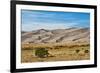 USA, Colorado, Alamosa, Great Sand Dunes National Park and Preserve-Bernard Friel-Framed Premium Photographic Print