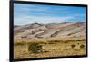 USA, Colorado, Alamosa, Great Sand Dunes National Park and Preserve-Bernard Friel-Framed Photographic Print