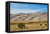 USA, Colorado, Alamosa, Great Sand Dunes National Park and Preserve-Bernard Friel-Framed Stretched Canvas