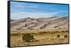 USA, Colorado, Alamosa, Great Sand Dunes National Park and Preserve-Bernard Friel-Framed Stretched Canvas