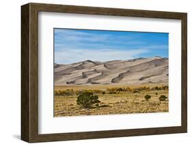 USA, Colorado, Alamosa, Great Sand Dunes National Park and Preserve-Bernard Friel-Framed Photographic Print