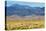 USA, Colorado, Alamosa, Great Sand Dunes National Park and Preserve-Bernard Friel-Stretched Canvas