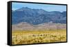 USA, Colorado, Alamosa, Great Sand Dunes National Park and Preserve-Bernard Friel-Framed Stretched Canvas