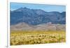 USA, Colorado, Alamosa, Great Sand Dunes National Park and Preserve-Bernard Friel-Framed Photographic Print