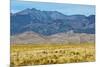 USA, Colorado, Alamosa, Great Sand Dunes National Park and Preserve-Bernard Friel-Mounted Photographic Print