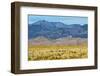 USA, Colorado, Alamosa, Great Sand Dunes National Park and Preserve-Bernard Friel-Framed Photographic Print