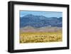 USA, Colorado, Alamosa, Great Sand Dunes National Park and Preserve-Bernard Friel-Framed Photographic Print