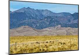 USA, Colorado, Alamosa, Great Sand Dunes National Park and Preserve-Bernard Friel-Mounted Photographic Print