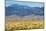 USA, Colorado, Alamosa, Great Sand Dunes National Park and Preserve-Bernard Friel-Mounted Photographic Print