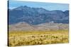 USA, Colorado, Alamosa, Great Sand Dunes National Park and Preserve-Bernard Friel-Stretched Canvas