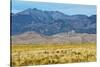 USA, Colorado, Alamosa, Great Sand Dunes National Park and Preserve-Bernard Friel-Stretched Canvas