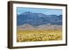 USA, Colorado, Alamosa, Great Sand Dunes National Park and Preserve-Bernard Friel-Framed Photographic Print