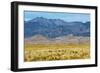 USA, Colorado, Alamosa, Great Sand Dunes National Park and Preserve-Bernard Friel-Framed Photographic Print