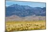 USA, Colorado, Alamosa, Great Sand Dunes National Park and Preserve-Bernard Friel-Mounted Photographic Print