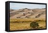 USA, Colorado, Alamosa, Great Sand Dunes National Park and Preserve-Bernard Friel-Framed Stretched Canvas