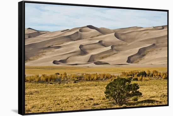 USA, Colorado, Alamosa, Great Sand Dunes National Park and Preserve-Bernard Friel-Framed Stretched Canvas