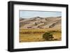 USA, Colorado, Alamosa, Great Sand Dunes National Park and Preserve-Bernard Friel-Framed Photographic Print