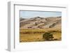 USA, Colorado, Alamosa, Great Sand Dunes National Park and Preserve-Bernard Friel-Framed Photographic Print