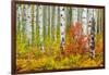 USA, Colorado, Aspen along McClure Pass in the Colorado Rockies-Christian Heeb-Framed Photographic Print