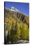 USA, Colorado. autumn color in the San Juan Mountains, Colorado-Jaynes Gallery-Stretched Canvas