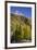 USA, Colorado. autumn color in the San Juan Mountains, Colorado-Jaynes Gallery-Framed Premium Photographic Print
