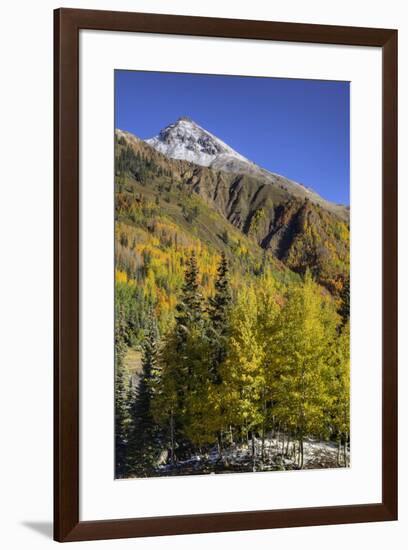 USA, Colorado. autumn color in the San Juan Mountains, Colorado-Jaynes Gallery-Framed Premium Photographic Print