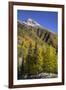 USA, Colorado. autumn color in the San Juan Mountains, Colorado-Jaynes Gallery-Framed Premium Photographic Print