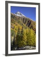 USA, Colorado. autumn color in the San Juan Mountains, Colorado-Jaynes Gallery-Framed Premium Photographic Print