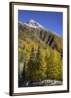 USA, Colorado. autumn color in the San Juan Mountains, Colorado-Jaynes Gallery-Framed Premium Photographic Print