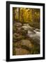 USA, Colorado. Autumn Colors on Crestone Creek-Jaynes Gallery-Framed Photographic Print