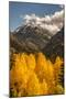 USA, Colorado. Autumn Landscape in San Juan Mountains-Jaynes Gallery-Mounted Premium Photographic Print