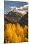 USA, Colorado. Autumn Landscape in San Juan Mountains-Jaynes Gallery-Mounted Photographic Print