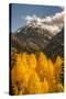 USA, Colorado. Autumn Landscape in San Juan Mountains-Jaynes Gallery-Stretched Canvas