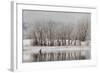 USA, Colorado, Boulder. Canadian Geese Taking Flight from Water-Jaynes Gallery-Framed Photographic Print