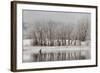 USA, Colorado, Boulder. Canadian Geese Taking Flight from Water-Jaynes Gallery-Framed Photographic Print