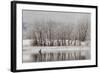 USA, Colorado, Boulder. Canadian Geese Taking Flight from Water-Jaynes Gallery-Framed Photographic Print