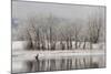 USA, Colorado, Boulder. Canadian Geese Taking Flight from Water-Jaynes Gallery-Mounted Photographic Print