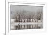 USA, Colorado, Boulder. Canadian Geese Taking Flight from Water-Jaynes Gallery-Framed Photographic Print