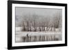 USA, Colorado, Boulder. Canadian Geese Taking Flight from Water-Jaynes Gallery-Framed Photographic Print